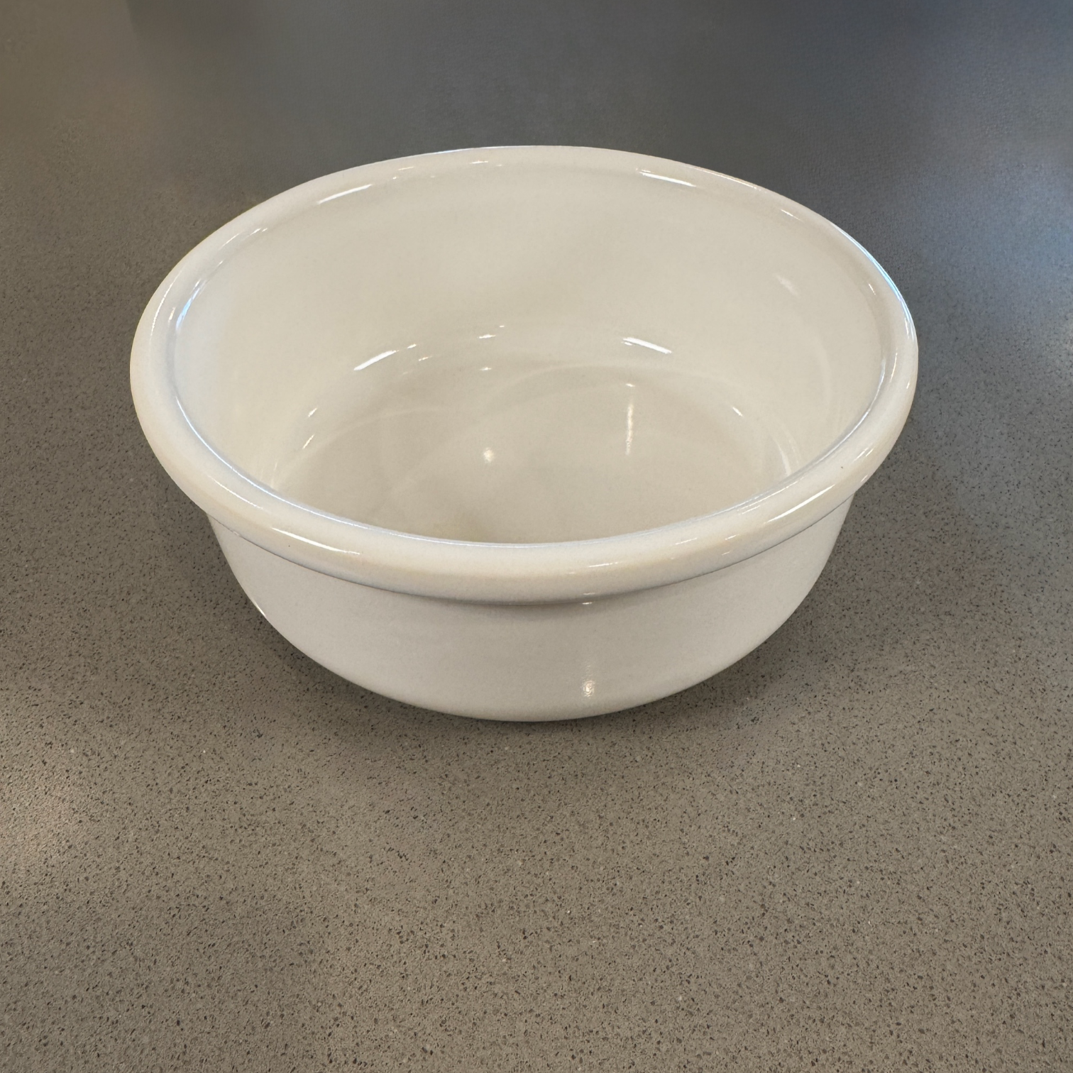 Stoneware Pet Bowl